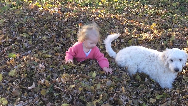 Angel Playing in the Iowa Leaves